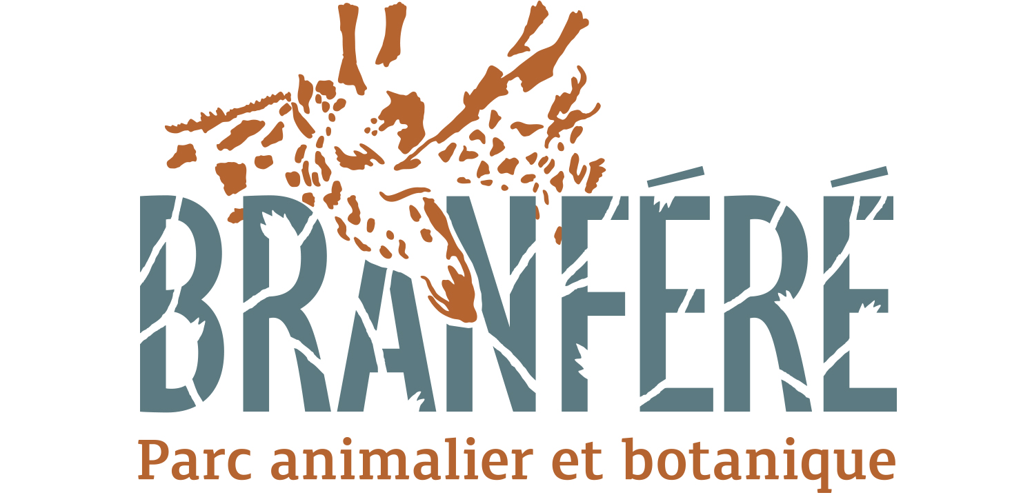 1759 FDF Logo Branfere Cmjn